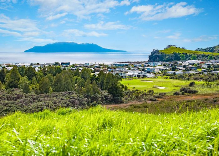  at Mangatawhiri Road, Omaha, Rodney, Auckland