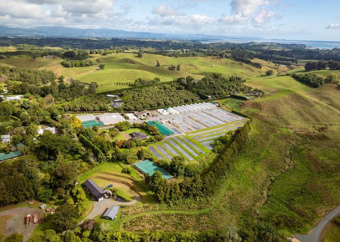  at 389 Old Highway, Whakamarama, Western Bay Of Plenty, Bay Of Plenty