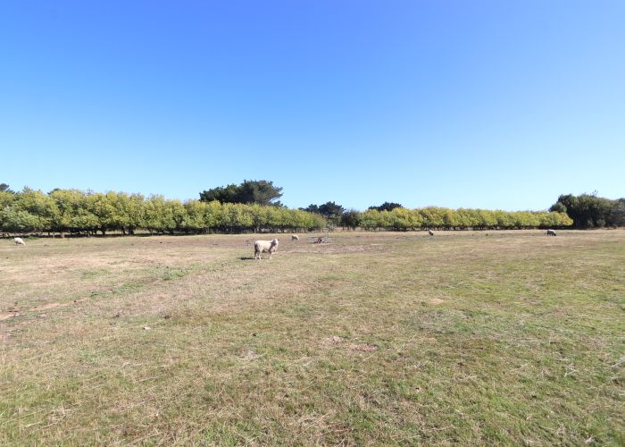  at 244 Oreti Road, Otatara, Invercargill