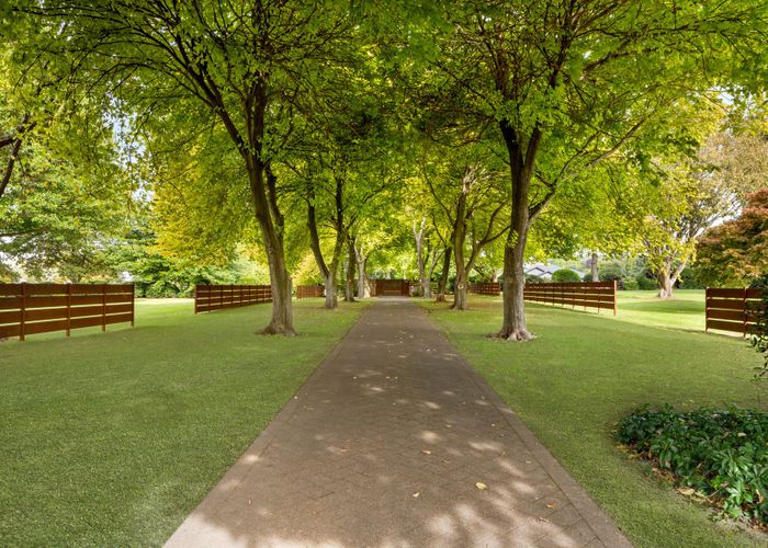  at 59c Western Avenue, Omokoroa, Western Bay Of Plenty, Bay Of Plenty