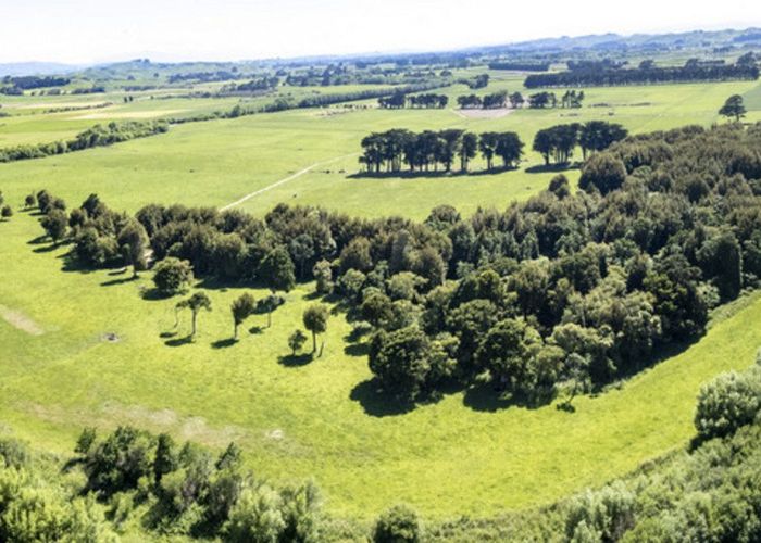  at 162 Hamua Hukanui Road, Eketahuna, Tararua, Manawatu / Whanganui