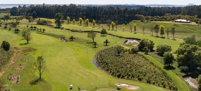  at 16 Prestwick Lane, Katikati, Western Bay Of Plenty, Bay Of Plenty