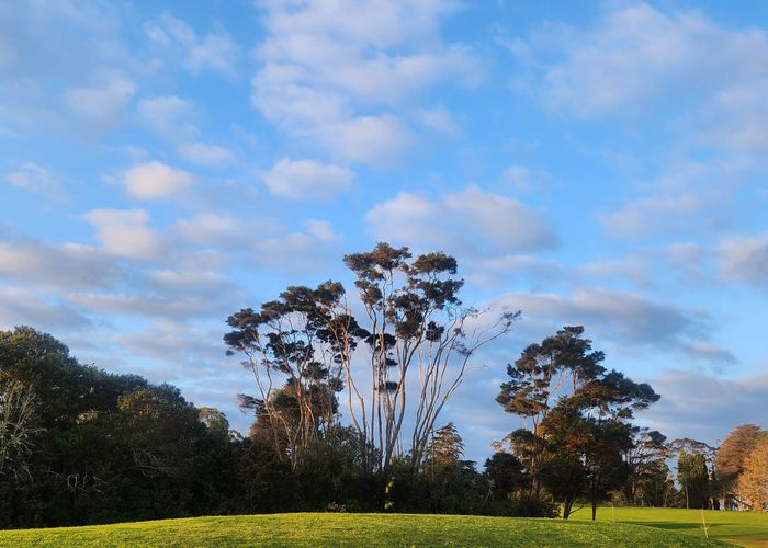  at 14 Third Fairway Place, Albany, North Shore City, Auckland