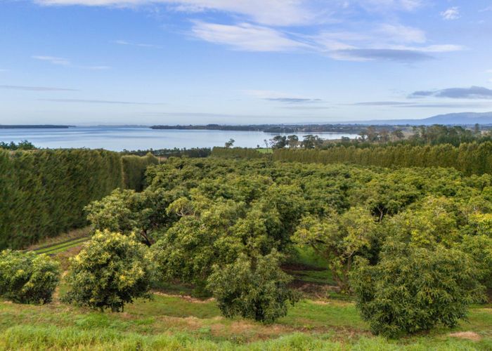  at 275 Athenree Road, Katikati, Western Bay Of Plenty, Bay Of Plenty
