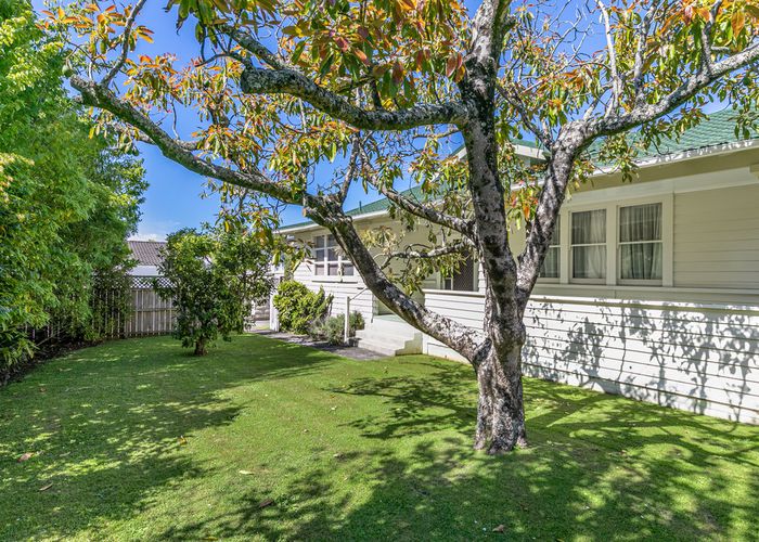  at 20 Coronation Road, Epsom, Auckland