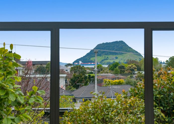  at 109 Pillans Road, Otumoetai, Tauranga