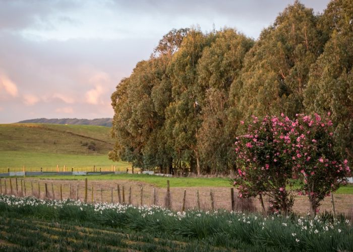 at 63 Florida Road, Muhunoa East, Levin