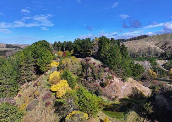  at 1305 Opaki Kaiparoro Road, Masterton, Masterton, Wellington