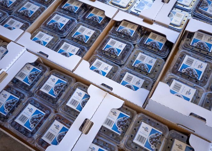  at 160 Tadmor Valley Road, Tapawera, Tasman, Nelson / Tasman