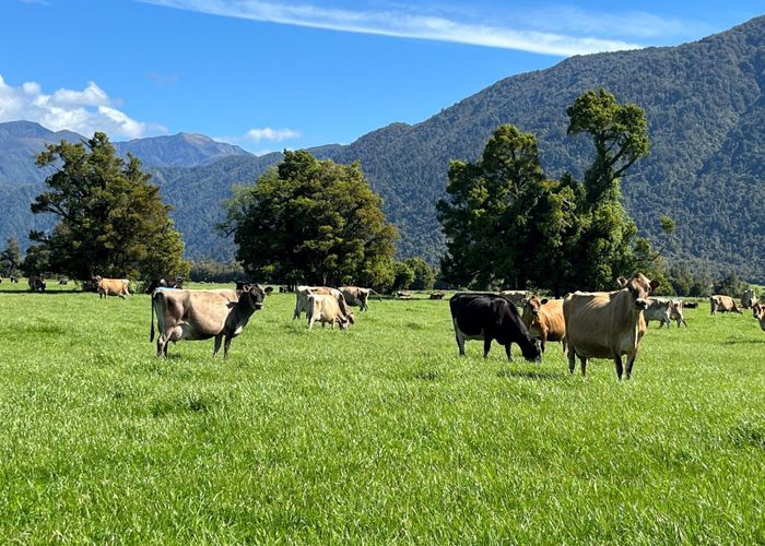  at 694-778 Waitaha Road, Ross, Westland, West Coast