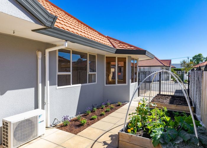  at 6B Seymour Street, Blenheim, Blenheim, Marlborough