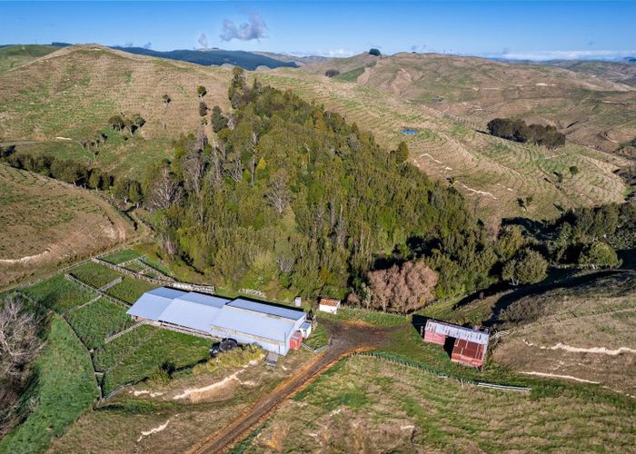  at 424 Daggs Road, Masterton, Masterton, Wellington