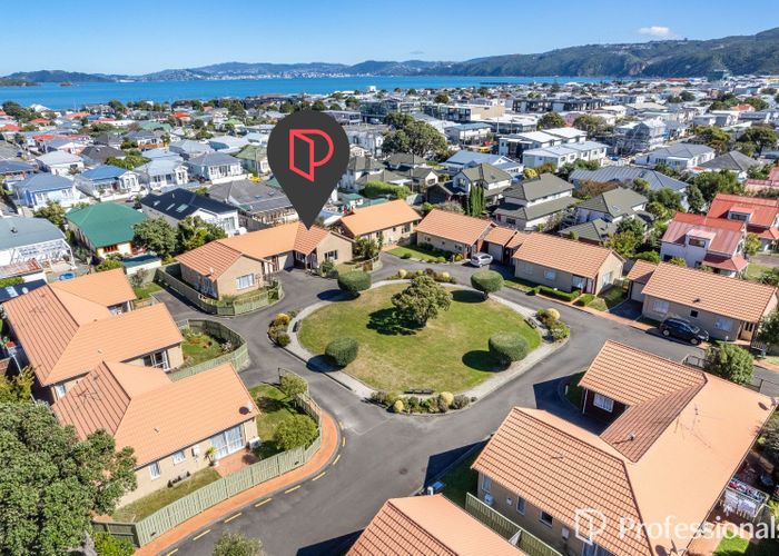  at 5 Pattie Street, Petone, Lower Hutt, Wellington