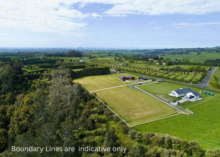  at 1048C Oropi Road, Oropi, Tauranga, Bay Of Plenty