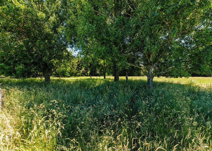  at 0 Budd Rd, Matahiwi, Masterton