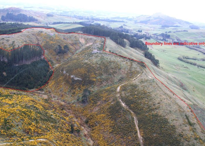  at Mount Trotter Road, Palmerston, Waitaki, Otago
