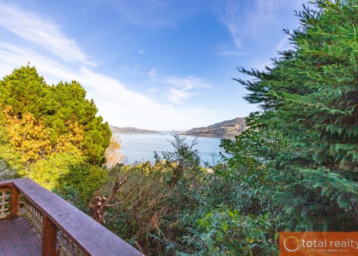  at 12 Raynbird Street, Company Bay, Dunedin
