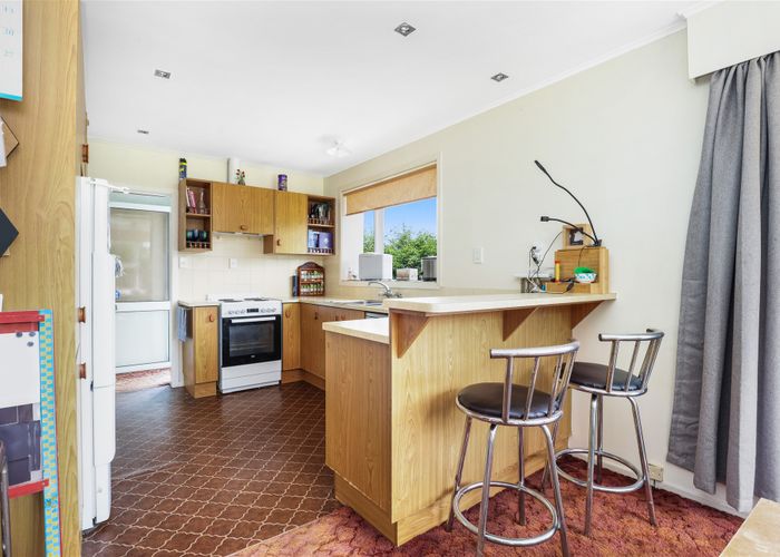  at 19 Herbert Road, Queenwood, Hamilton