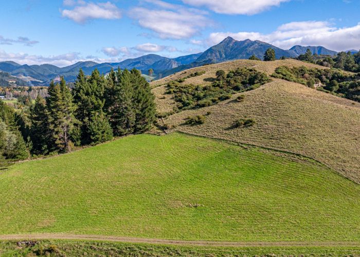  at 52 Little Pokororo Road, Tasman, Tasman, Nelson / Tasman