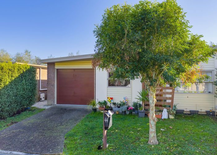  at 44/46 Peachgrove Road, Hamilton East, Hamilton, Waikato