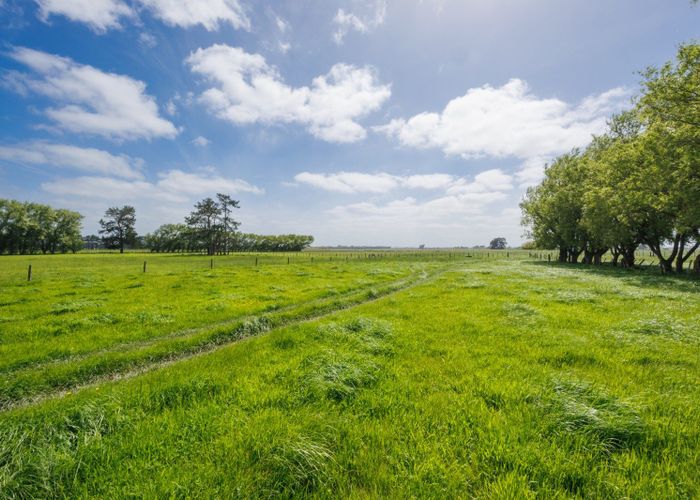  at 1331 Rongotea Road, Kairanga, Palmerston North, Manawatu / Whanganui