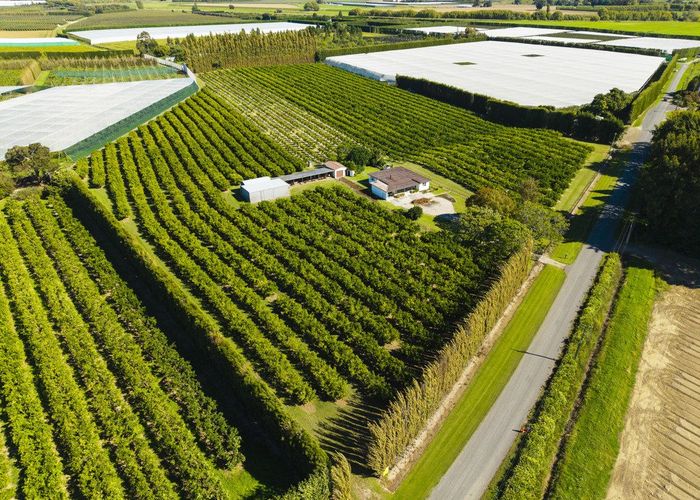  at 75 Brown Road, Ormond, Gisborne, Gisborne