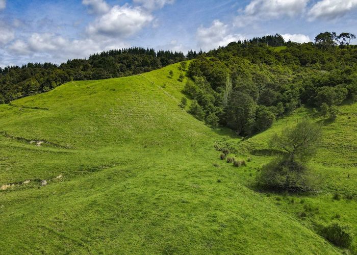  at Lot 1 3315 State Highway 2, Waitakaruru, Hauraki, Waikato