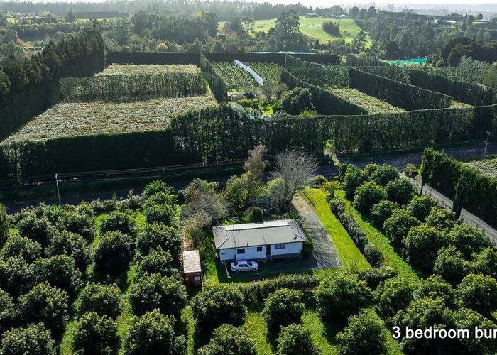  at 117 Rea Road RD 2, Katikati, Western Bay Of Plenty, Bay Of Plenty