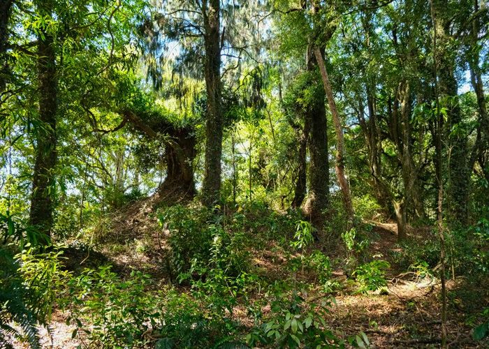  at Lot 3 Oturoa Road, Hamurana, Rotorua, Bay Of Plenty