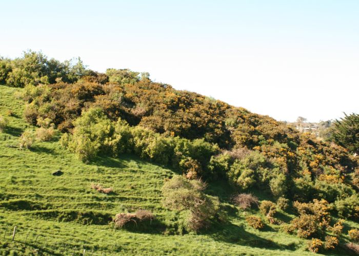  at 52 Cracroft Drive, Putiki, Whanganui