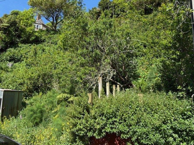  at 45A Holloway Road, Aro Valley, Wellington, Wellington