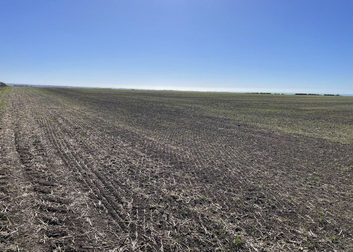  at Daisy Hill Road, St Andrews, Timaru, Canterbury