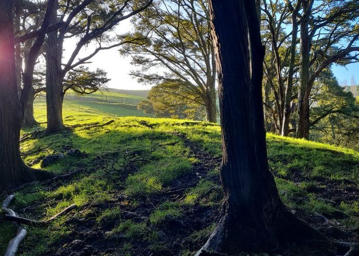  at 0 Massey Road, Maungaturoto, Kaipara, Northland