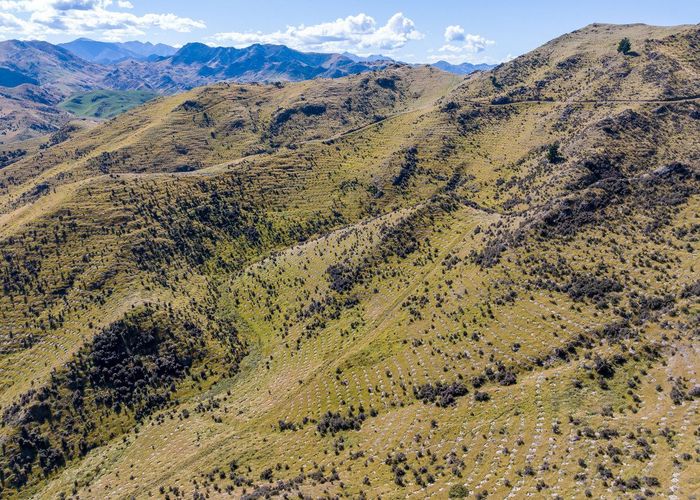  at Masons Flat Forest, Hawarden, Hurunui, Canterbury