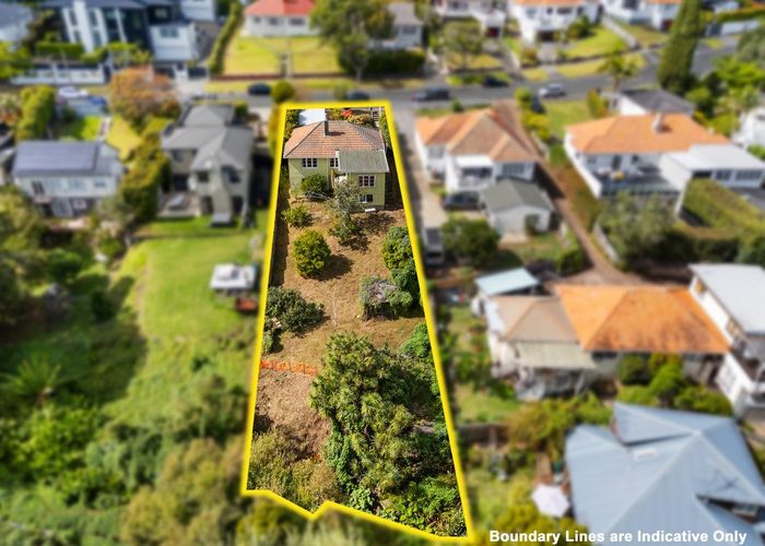  at 46 Lingarth Street, Remuera, Auckland City, Auckland