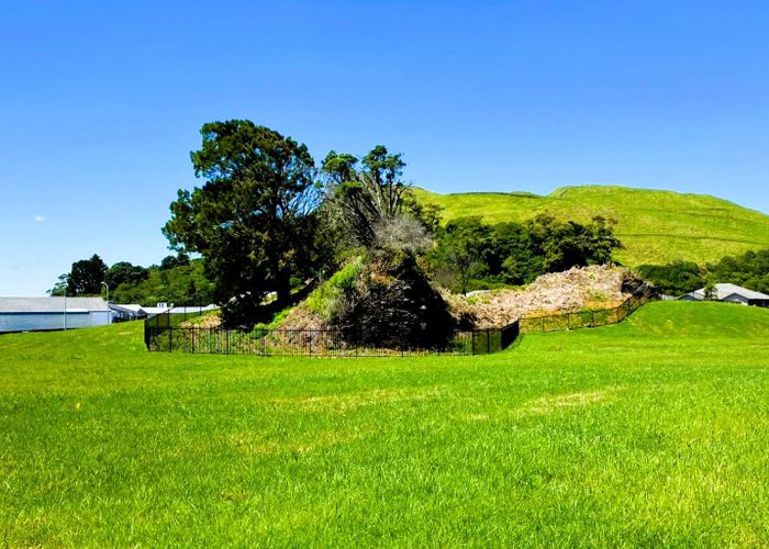  at 4 Liane Ngamane Road, Stonefields, Auckland City, Auckland