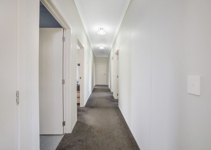  at 135 North Road, North East Valley, Dunedin, Otago