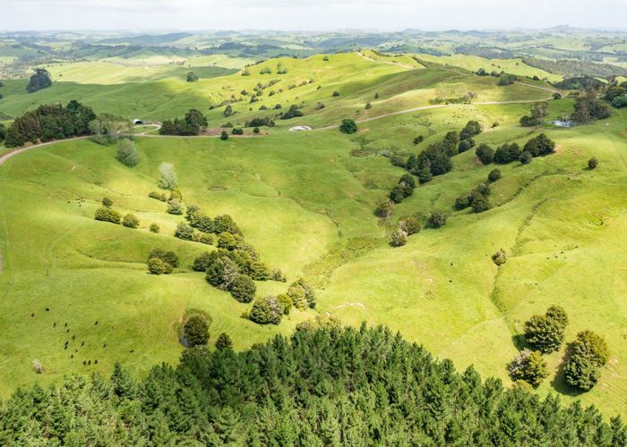  at Mangarata Block Road (19.41 ha), Tangiteroria, Kaipara, Northland