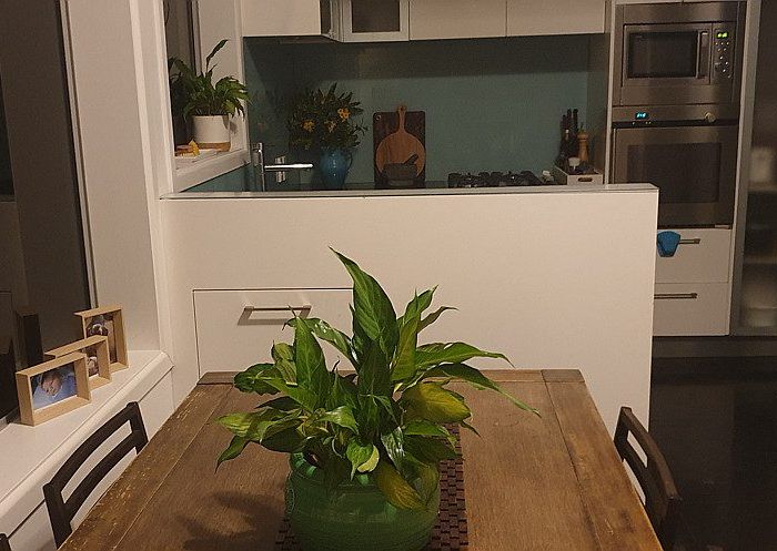  at 65 Panorama Road, Sumner, Christchurch City, Canterbury