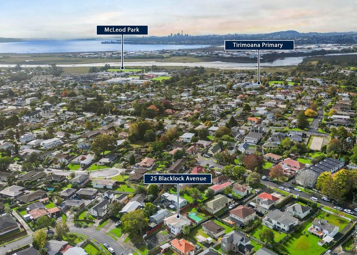  at 25 Blacklock Avenue, Henderson, Waitakere City, Auckland