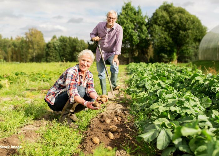  at 90 Woodlands Cemetery Road, Woodlands, Invercargill
