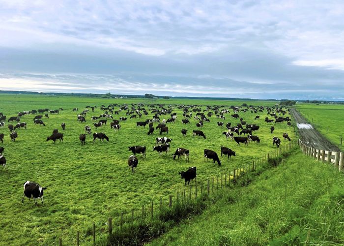  at 1637 Parewanui Road, Bulls, Rangitikei, Manawatu / Whanganui