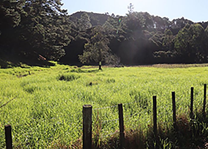  at 163 and 165 Tapu Coroglen Road, Tapu, Thames-Coromandel, Waikato