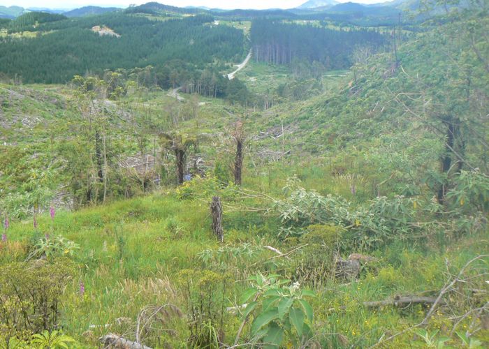  at Lot 65 Stoney Creek Road, Kaikohe, Far North, Northland