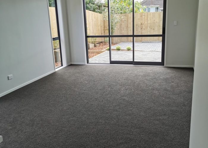  at 103B Tripoli Rd, Panmure, Auckland City, Auckland