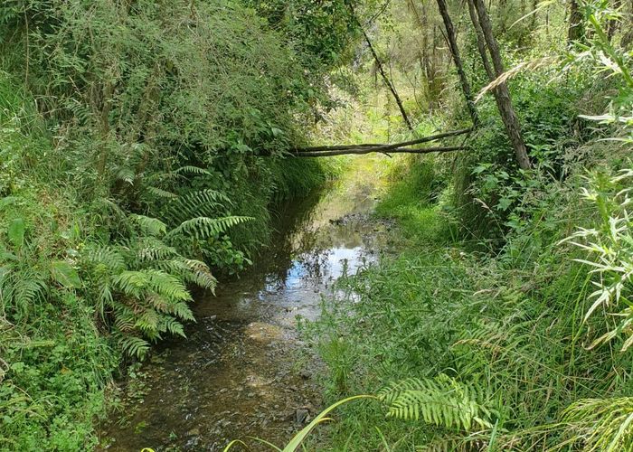  at 2244 A Te Ore Ore Bideford Road, Masterton, Masterton, Wellington