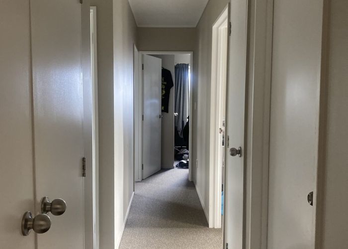  at 92A Clarence Street, Hamilton Lake, Hamilton, Waikato