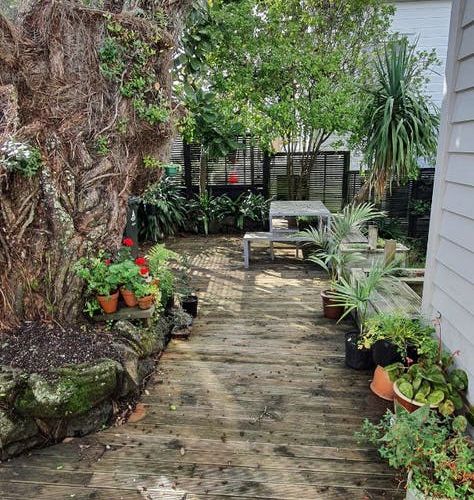  at 8 King Street, Grey Lynn, Auckland