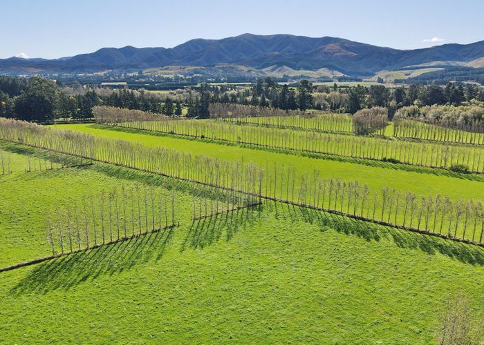  at 117 Sladdens Farm Road, Oxford, Waimakariri, Canterbury