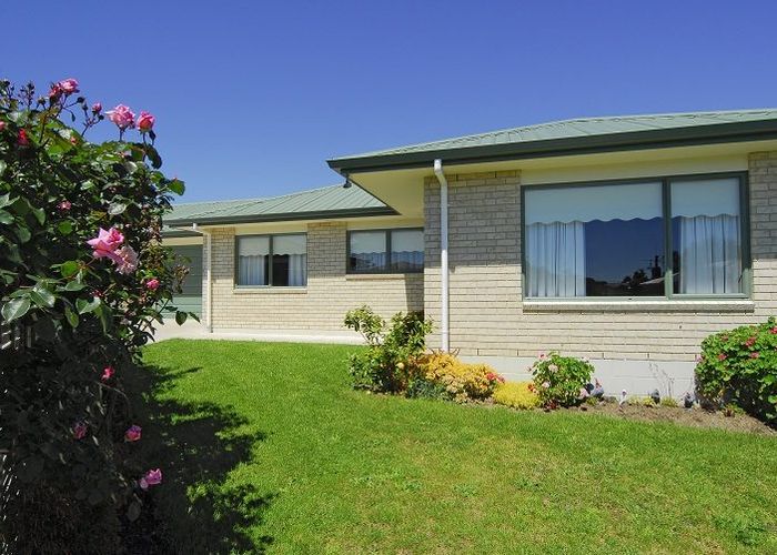  at 20b Kesteven Ave - PARKVALE, Parkvale, Tauranga, Bay Of Plenty
